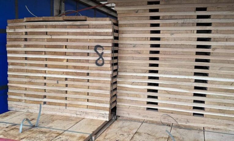 На Львівщині викрили чергову контрабанду деревини