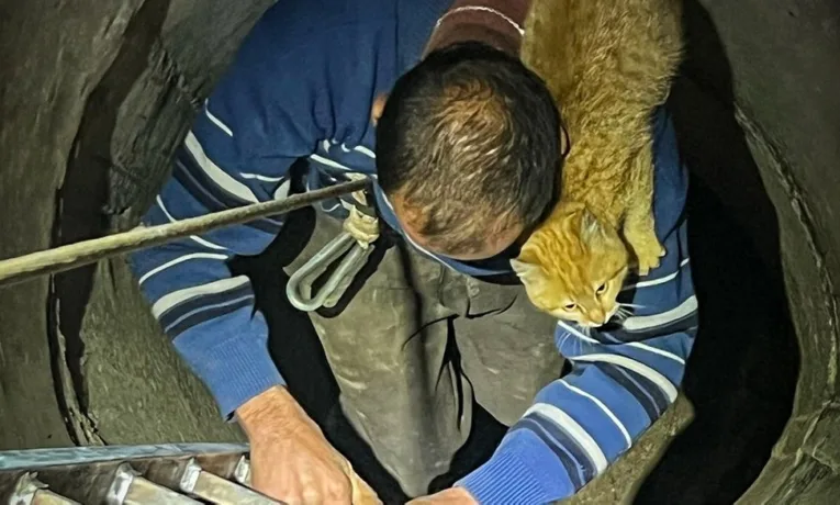 На Львівщині рятувальники допомогли чоловікові з котом вибратися з колодязя