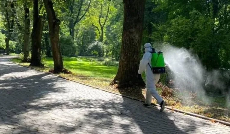 У львівських парках проведуть обробку від кліщів