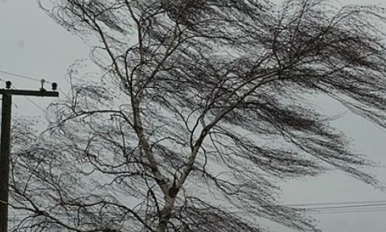 На Львівщині через негоду без світла залишлися низка населених пунктів