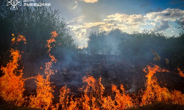 За добу на Львівщині вигоріло понад 1 га  сухостою