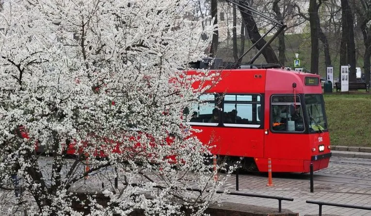 Львівська міська рада запропонувала нові тарифи за проїзд у громадському транспорті