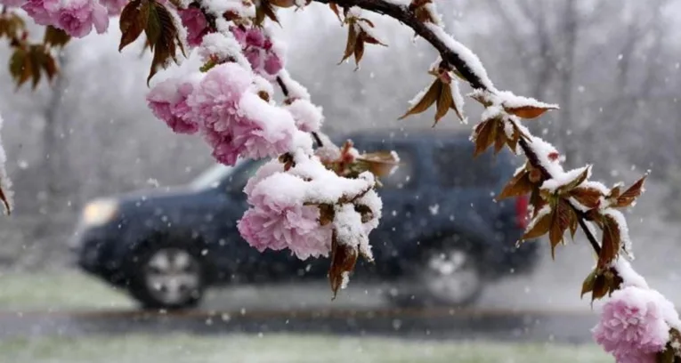 На Львівщині прогнозують заморозки та ожеледицю