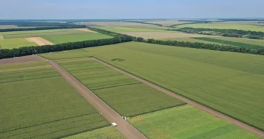 Суд зобов’язав селищну раду на Львівщині повернути державі 13,7 га земель оборони колишнього аеродрому
