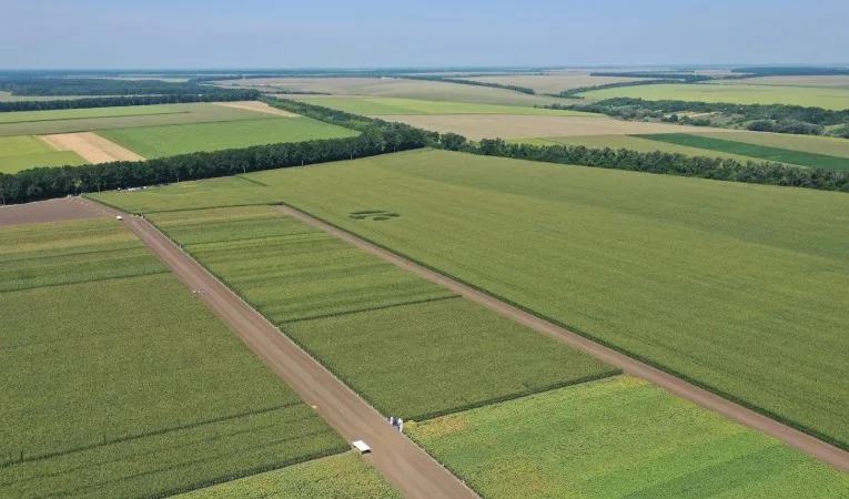 Львівська міська рада продала вісім ділянок площею 3,5 га