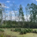 На Львівщині громаді повернули земельну ділянку у ландшафтному заказнику «Торфовище Білогорща»