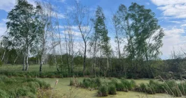 На Львівщині громаді повернули земельну ділянку у ландшафтному заказнику «Торфовище Білогорща»