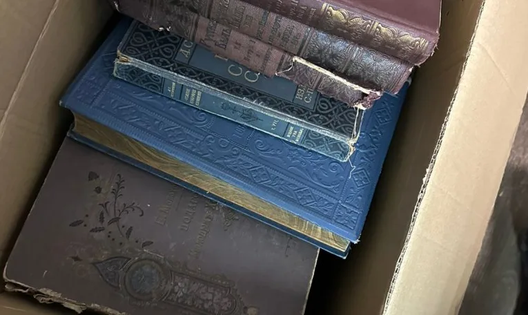 Мешканець Львівщини намагався вивезти за кордон пів сотні антикварних книг