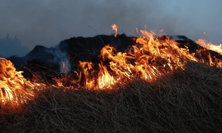 На Львівщині за добу згоріло понад три гектари сухої трави