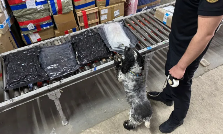 На Львівщині митники виявили в посилці контрабанду канабісу