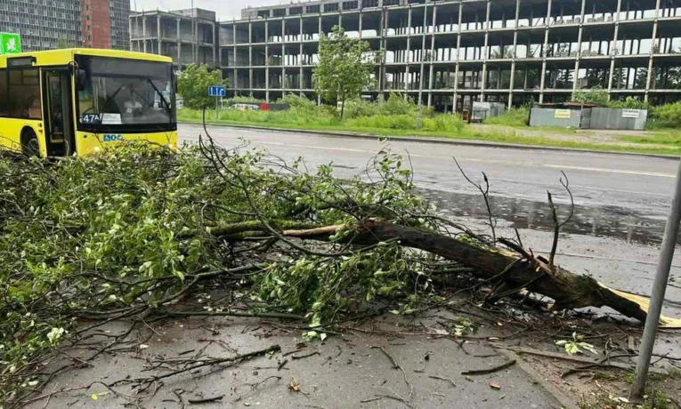 У Львові негода повалила дерева та пошкодила електромережі