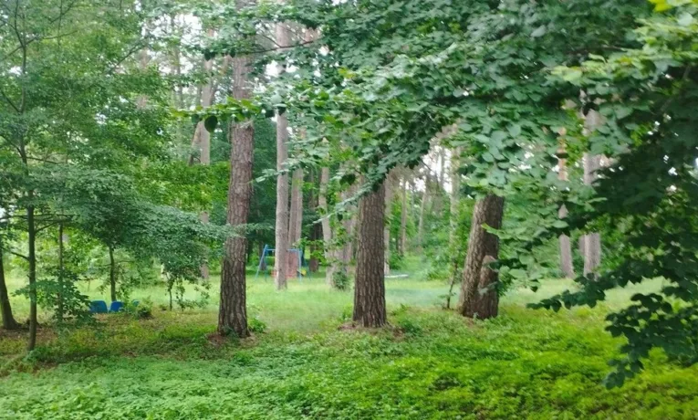 У Львівській громаді понад 10 гектарів землі отримають статус парків та скверів