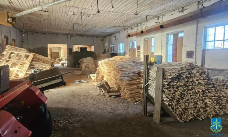 На Львівщині судитимуть підприємицю за відмивання коштів і контрабанду деревини до ЄС