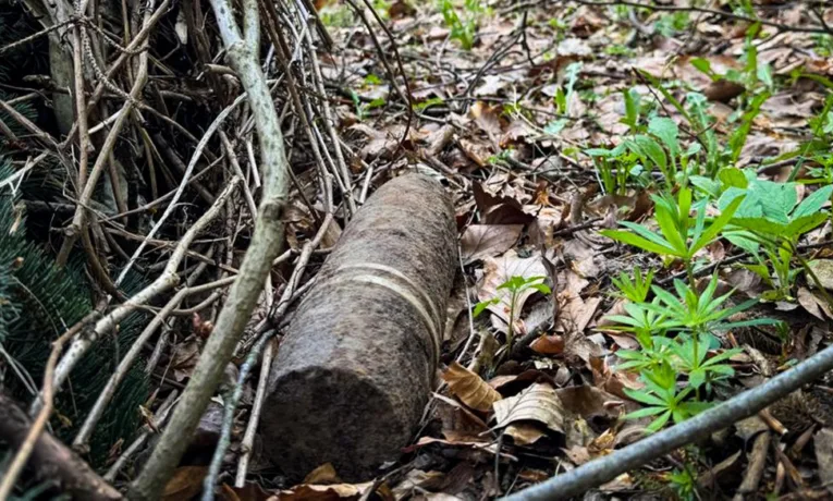 У Львові на території садового кооперативу виявили понад 80 артснарядів