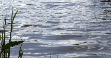 На Львівщині громада повернула через суд земельну ділянку за понад 2 мільйони гривень