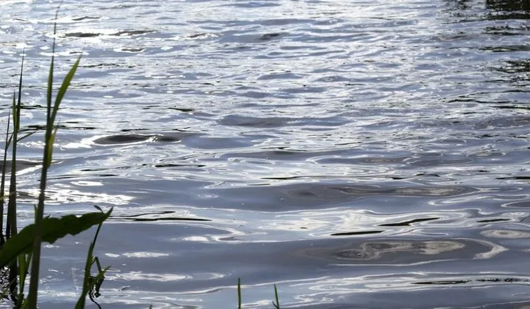 Ставок у селі Модричі повернули Трускавецькій громаді