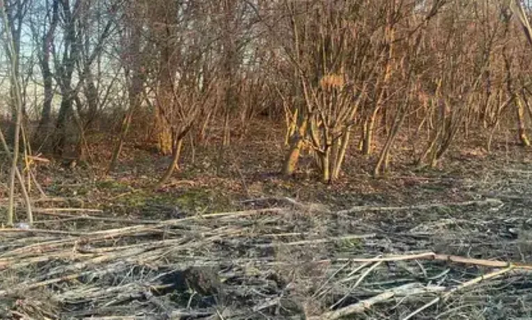 Під Львовом продали гектар землі під промисловість за понад 5 мільйонів гривень