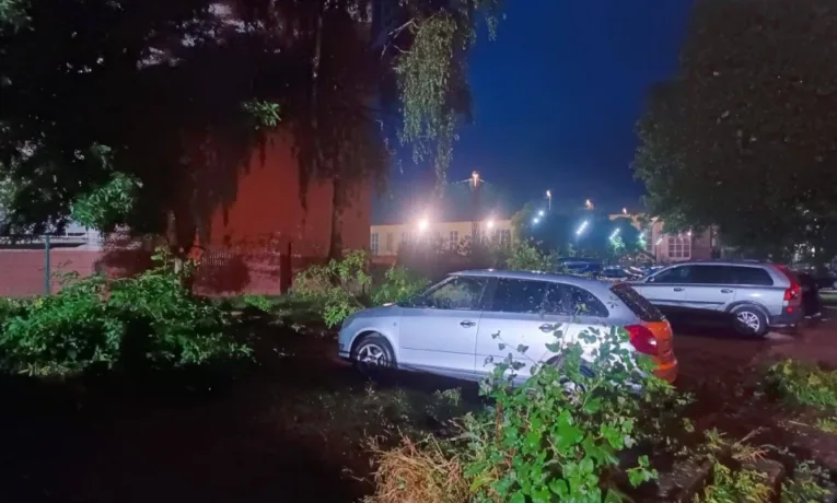 Масштабні знеструмлення, повалені дерева, пошкоджені будинки: наслідки буревію на заході України