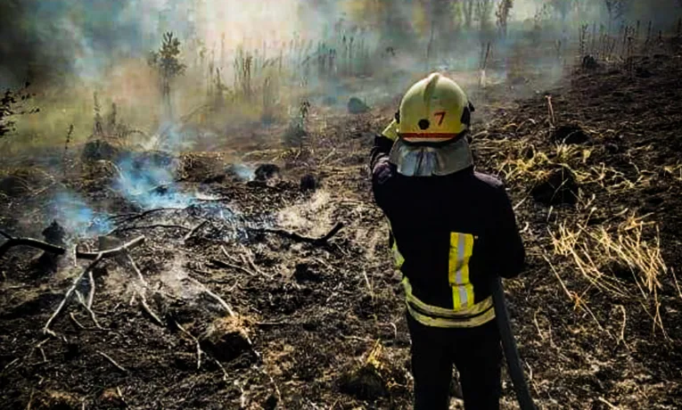 Львівщина у вогні: рятувальники закликають не палити сухостій (фото)