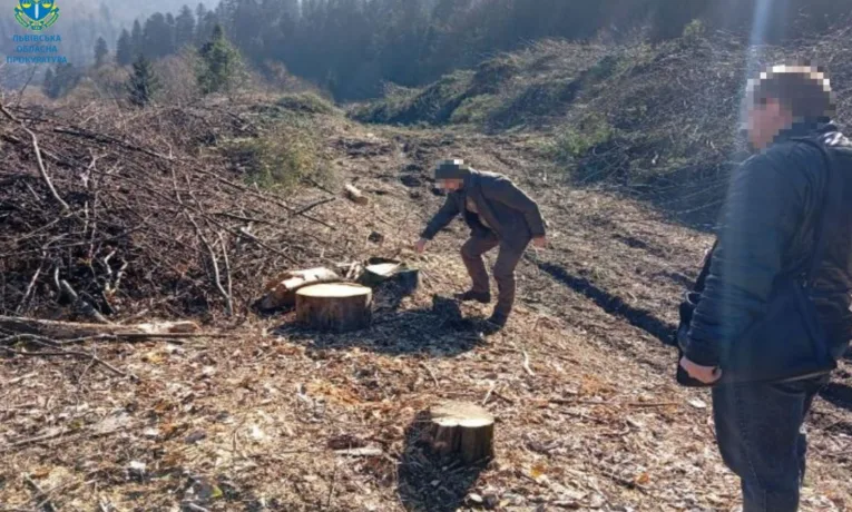На Львівщині місцевий мешканець вирубав ліс на 260 тисяч: його судитимуть