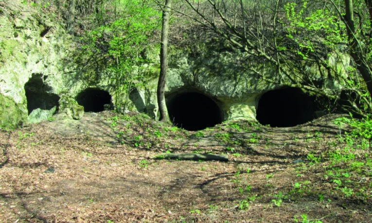 Миколаївську фортецю на Львівщині повернули у власність держави