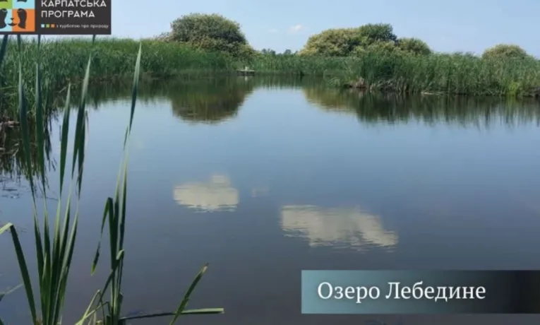На Львівщині створять ландшафтний заказник “Озеро Лебедине”
