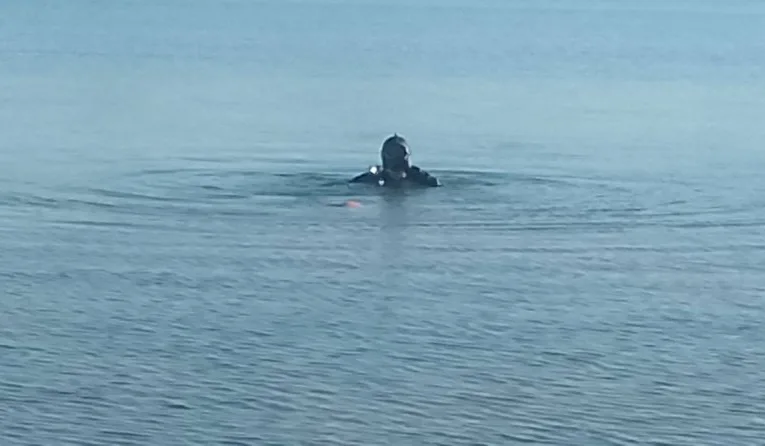 На Львівщині у водоймі знайшли тіло чоловіка