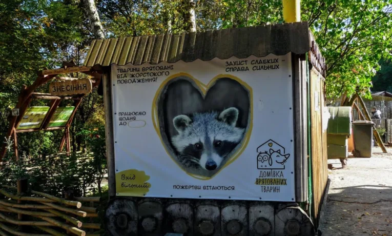 Львів’ян закликають приносити речі на ярмарок для підтримки врятованих тварин