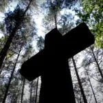 “Українці декілька разів вибачалися”: історик Ярослав Грицак про Волинську трагедію