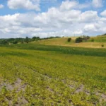 Буська міська рада відсудила у підприємства “Ротен” понад 10 гектарів землі через несплату оренди