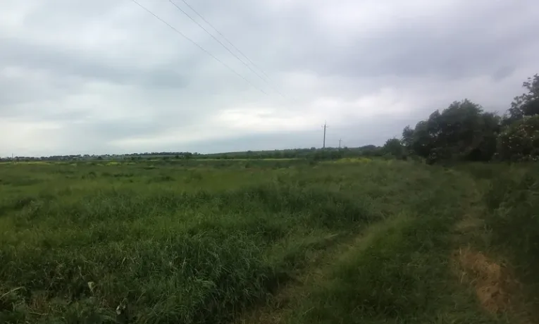 Землю під торгові будівлі у Львівському районі продали за 4,6 млн грн місцевій фірмі