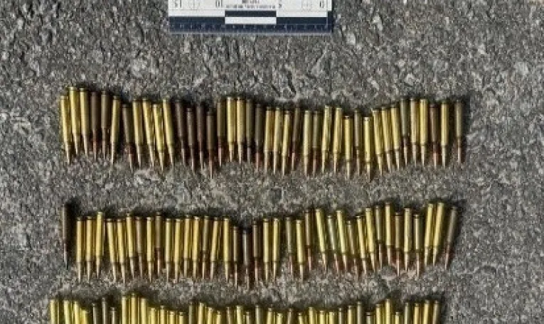 На Львівщині 34-річного чоловіка підозрюють у домашньому насильстві та зберіганні боєприпасів