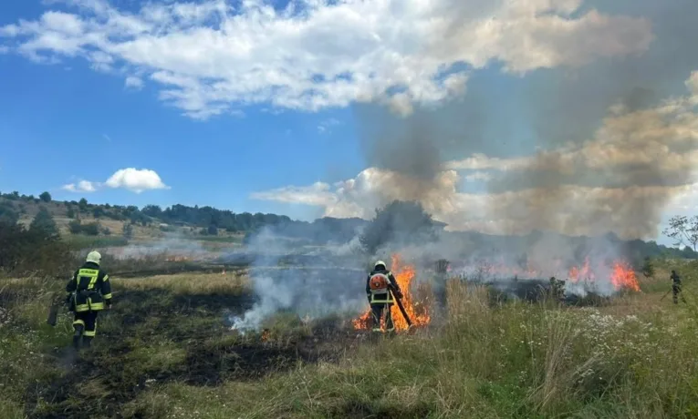Рятувальники загасили 4 пожежі сухостою у Стрийському районі Львівщини