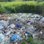 Із Самбірської міськради стягнули понад 5,2 млн грн за забруднення земель