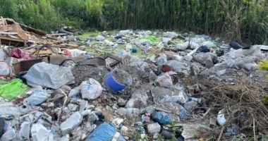 Із Самбірської міськради стягнули понад 5,2 млн грн за забруднення земель