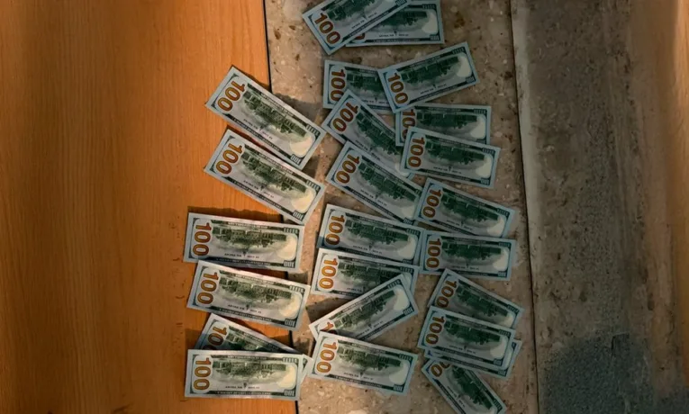 На Львівщині митники виявили у жінки незадекларовану валюту та старовинні монети