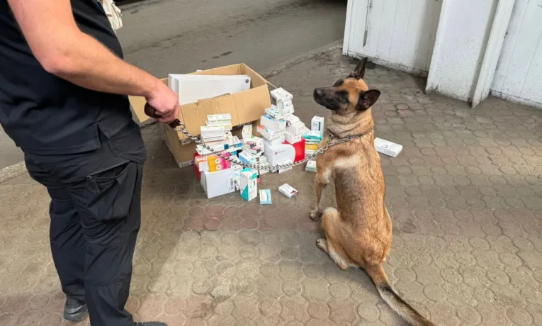 На Львівщині службова вівчарка знайшла у контрабандистки в автобусі нарковмісні таблетки