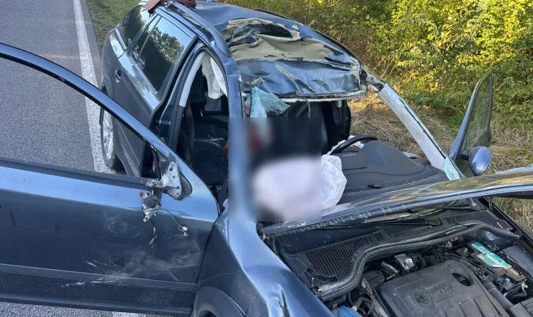 На Львівщині поліцейський на авто збив лося: внаслідок аварії загинув 63-річний пасажир