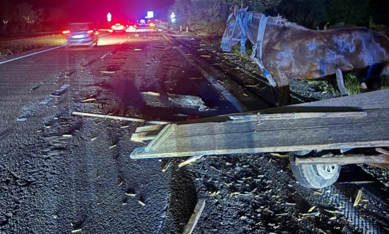 На Львівщині сталася смертельна ДТП за участі позашляховика та гужової підводи.