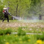 У Львові впродовж трьох днів оброблятимуть парки від кліщів