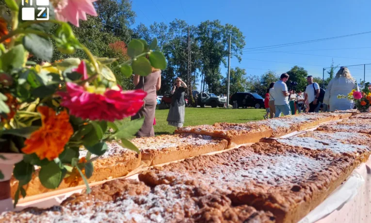 На Львівщині встановили рекорд України: спекли найдовший яблучний пляцок