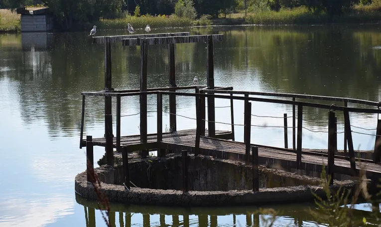 На Львівщині держреєстратор привласнив гідроспоруду