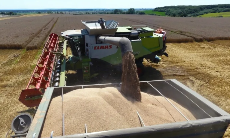 Західний Хаб МХП сплатив за перше півріччя 215 млн гривень податків