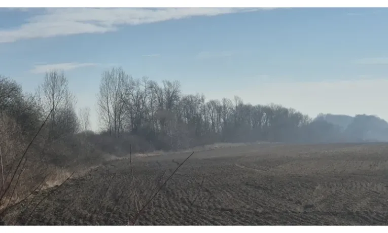 Давидівська сільрада продала землю за 44 млн грн: покупцем стала компанія екс-прокурора з Тернополя