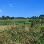 На Львівщині розслідують можливу незаконну передачу 14 земельних ділянок у прибережній смузі в селі Коростів