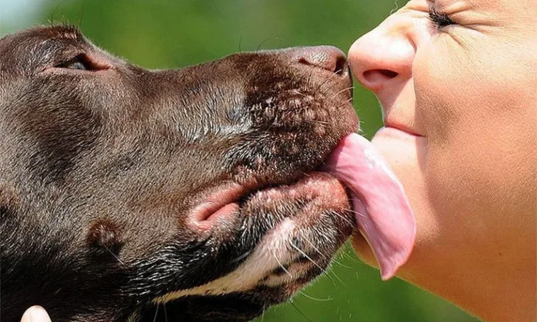 У печінці мешканця Львівщини виявили рідкісних гельмінтів