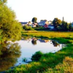 У Гамаліївці перевіряють можливе незаконне відведення лісових земель під забудову