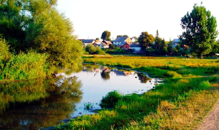 У Гамаліївці перевіряють можливе незаконне відведення лісових земель під забудову