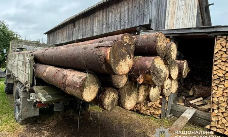 На Львівщині судитимуть зловмисника, який завдав збитків на понад 90 тисяч гривень під час вирубки лісу