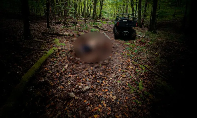 На Львівщині рятувальники знайшли в лісі тіло 57-річного чоловіка